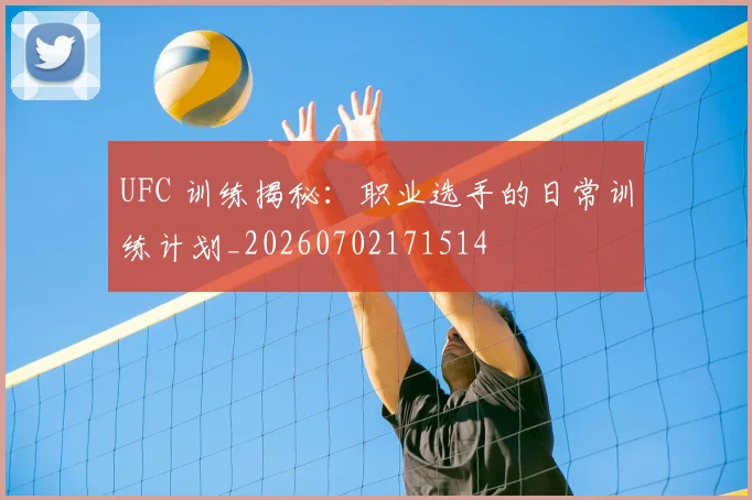 UFC 训练揭秘：职业选手的日常训练计划_20260702171514